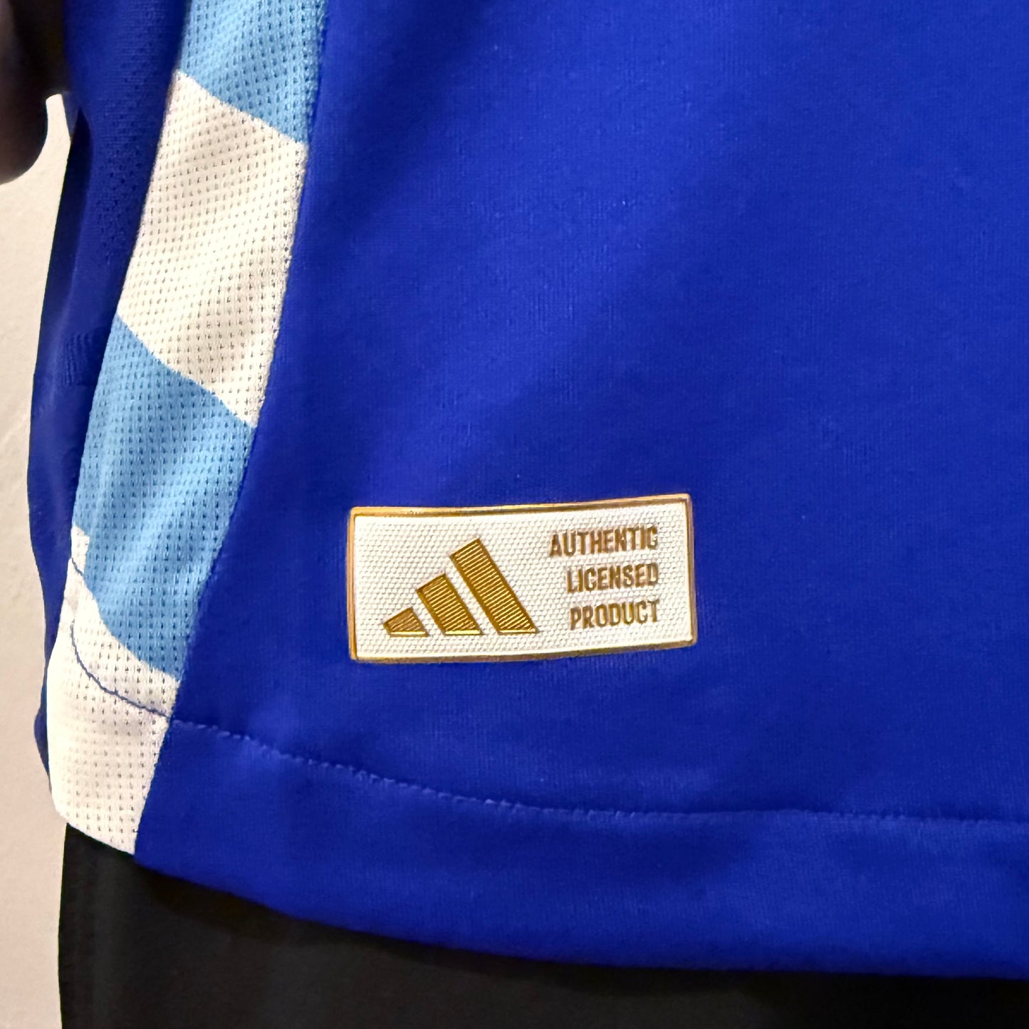 Jersey Argentina Visita Authentic 24/25